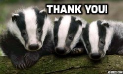 THank-you-badgers.jpg