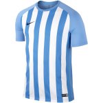 nike-2017-18-striped-segment-iii-teamwear-jersey-6.jpg