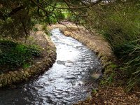 800px-Urban_stream_in_park.jpg