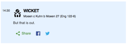 moeen-bowled-moeen.png