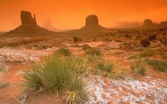 deserts-and-aridlands.jpg