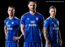 cardiff_city_2018_19_adidas_home_kit.jpg