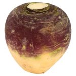 rutabaga.jpeg