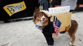 trumpdog.jpg