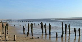 winchelsea-beach.jpg