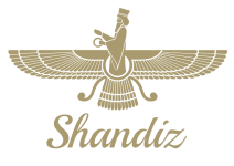 NEW SHANDIZ LOGO.png