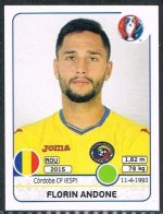 euro-2016-france-florin-andone-romania-066.jpg