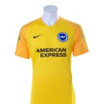 Albion Kit.jpg