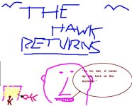 tHE hAWK.JPG