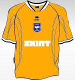 bhashirt orange away2.jpg