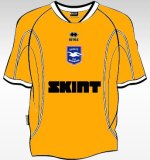 bhashirt orange away3.jpg