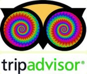 trippyadvisor.jpg