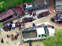 gun-seizure-california.jpg