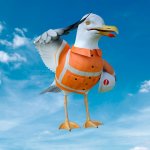 sammyseagull.jpeg