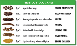 BristolStoolChart.png