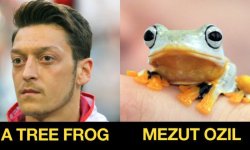 ozilfrog (1).jpg