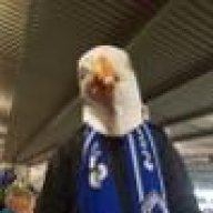 MerseySeagull