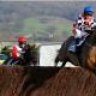 The Giant Bolster