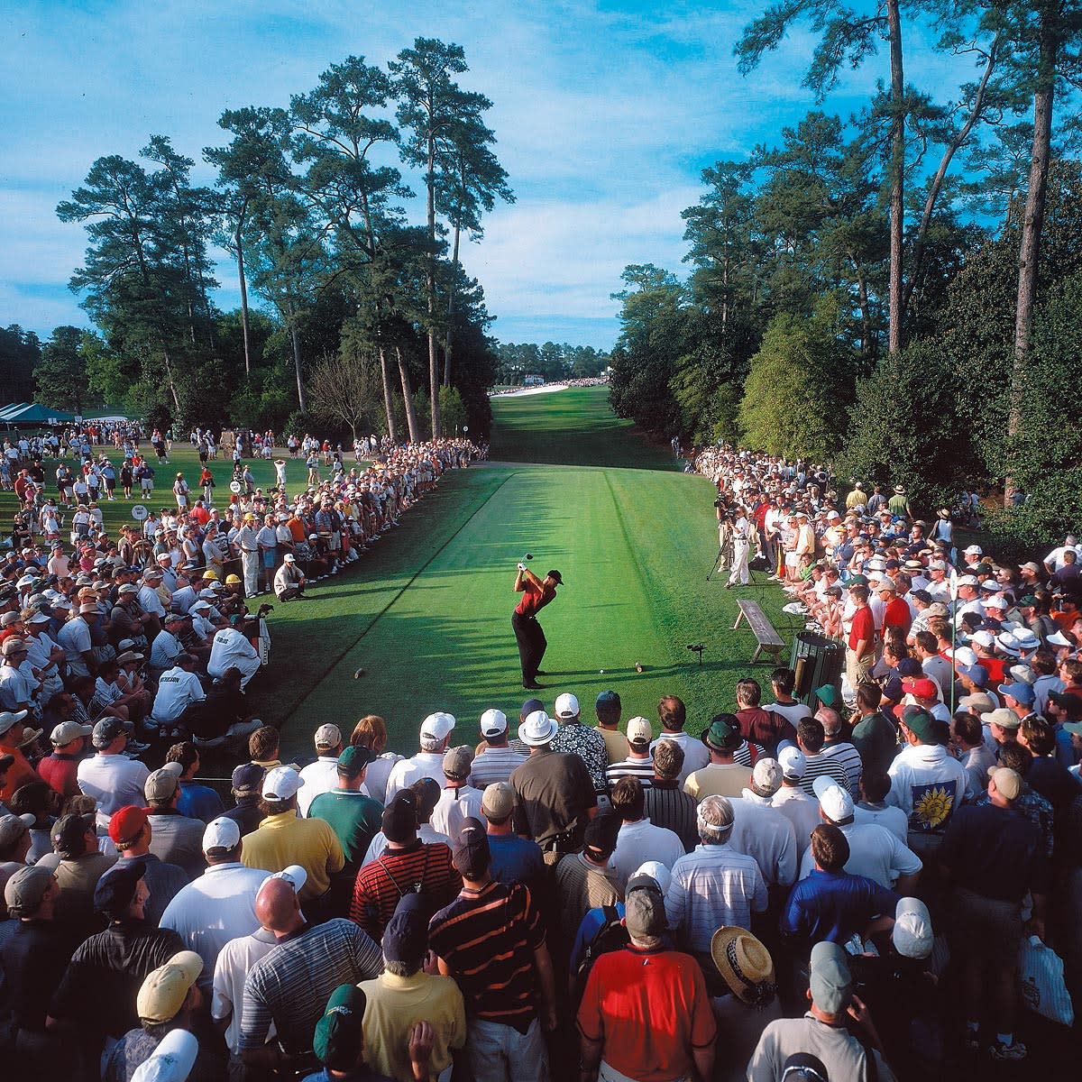 13-tiger-woods-2001-fsjpg.jpg