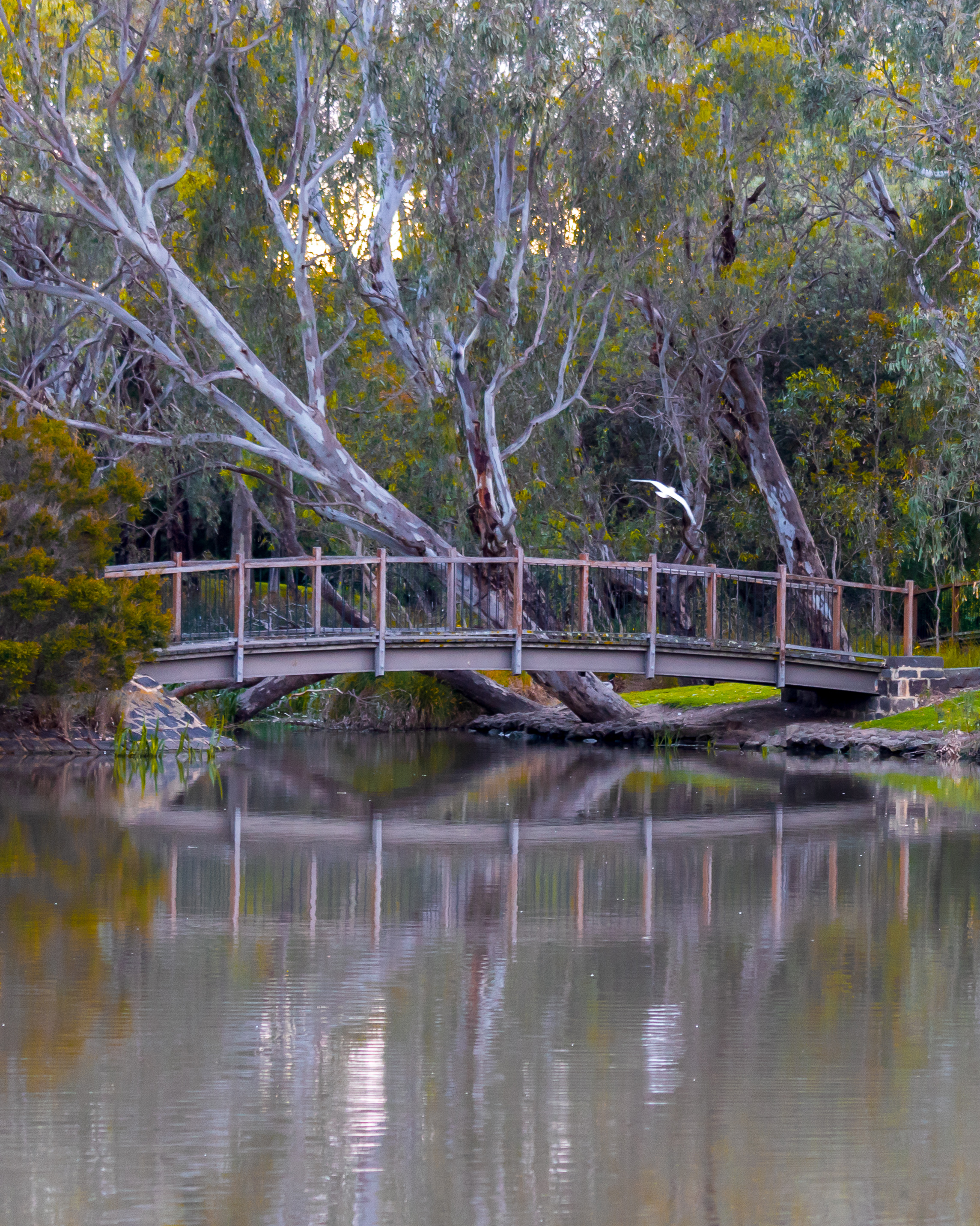 Balyang Sanctuary-15.jpg