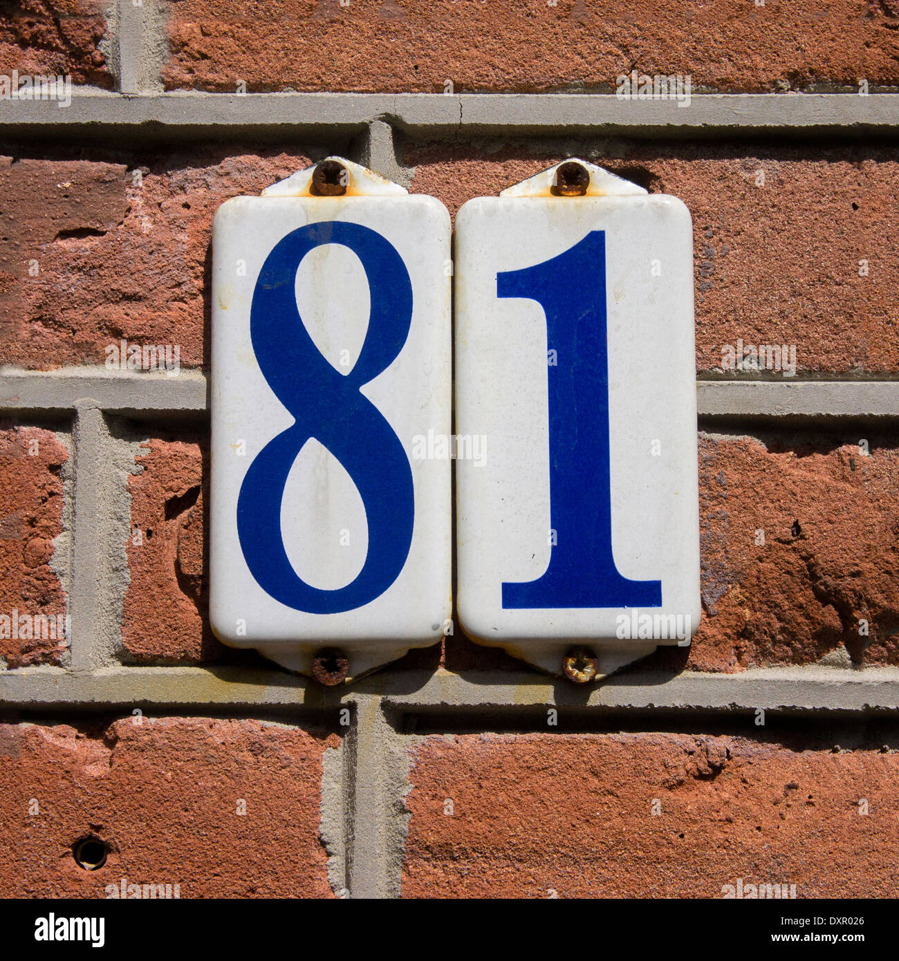 enameled-house-number-eighty-one-blue-lettering-on-a-white-background-DXR026.jpg