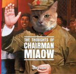 chairman-miaow.jpg