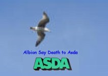 asda seagull.jpg