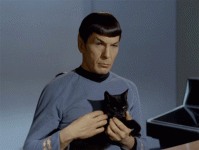 thoughtful spock.gif