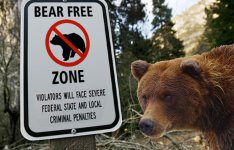 bearfreezone-693x445.jpg