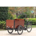 Front-loading-cargo-trike-2019-Holland-manufacturer-factory-family-cargo-bike.jpg