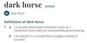 Dark-Horse-Definition-of-Dark-Horse-by-Merriam-Webster.png