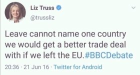 lizztruss.jpeg