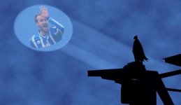 the-murray-signal.jpg