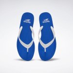 Cash_Flip-Flops_Blue_EH2874_06_standard_hover.jpg