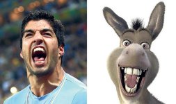 suarez donkey.jpg