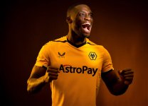 wolverhampton_wanderers_2022_2023_home_kit.jpg