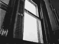 window.gif