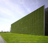 living wall example02.jpg