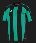 Picture 13_milan_teal.png