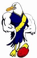 WilliamstownSeagullslogo.jpg