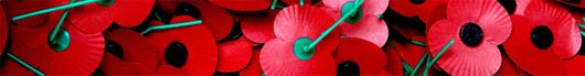 poppyappealbanner_tcm15-7093.jpg