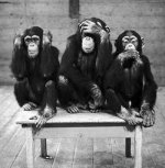 three-wise-monkeys-c11765657.jpg