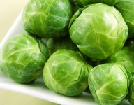 roasted-brussels-sprouts-fd-lg-1.jpg