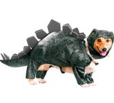 dog-stegosaurus.jpg