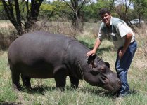 pet-hippo-Humphrey_2055153i.jpg