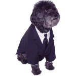 dog-business-suit-shirt-tie_cute-outfits-your-dog.jpg