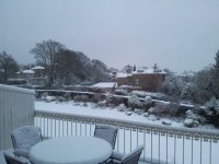 snow200113.jpg