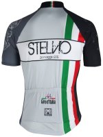 20120727-santini-giro-italia-stelvio-celebration-jersey-maglia-back.jpg