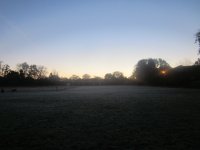 Frosty morning 13.11.13 004.jpg