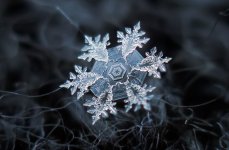 snowflake-closeup-diy-setup-alexey-kljatov-4.jpg